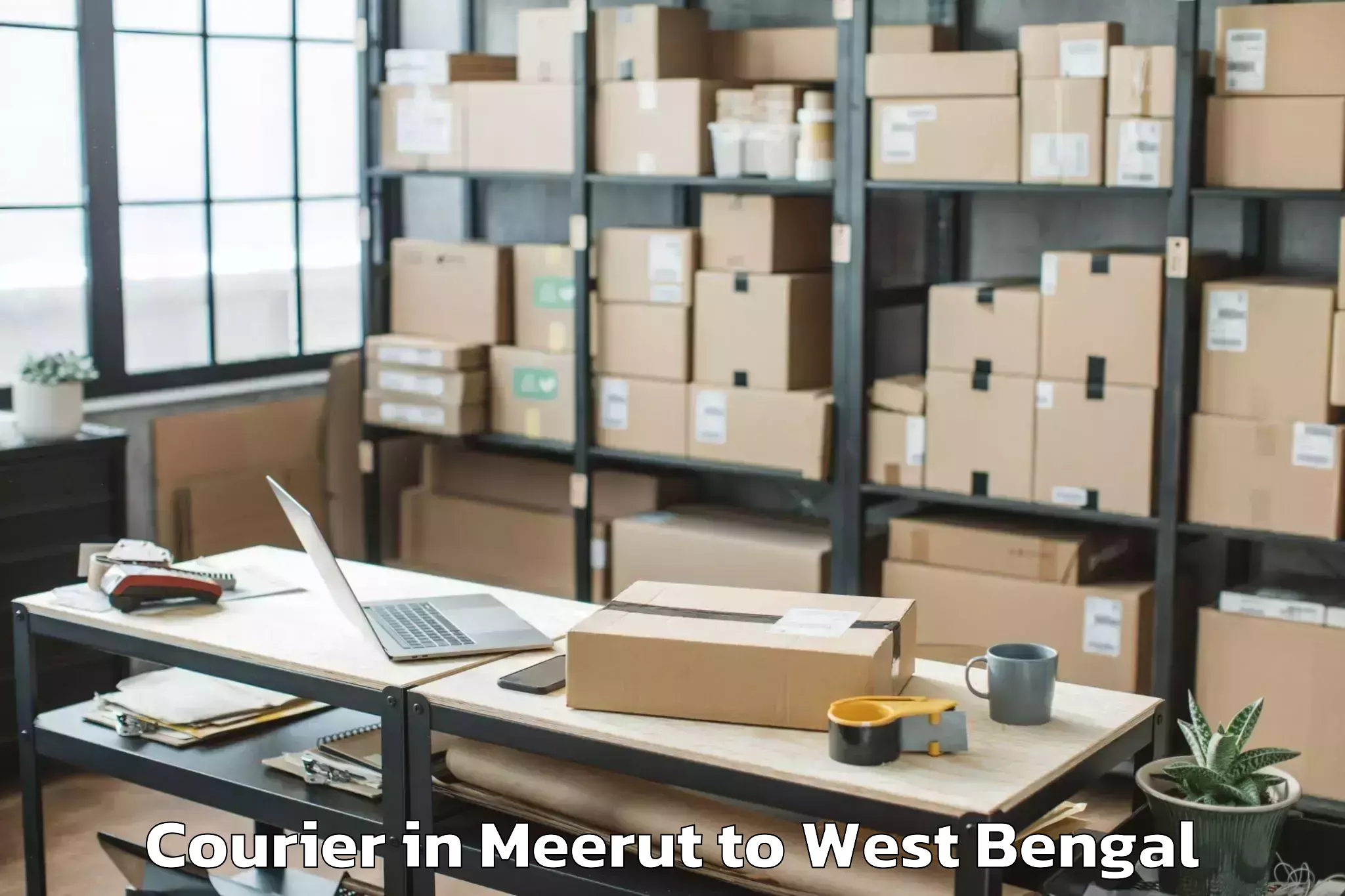 Professional Meerut to Chakdah Courier